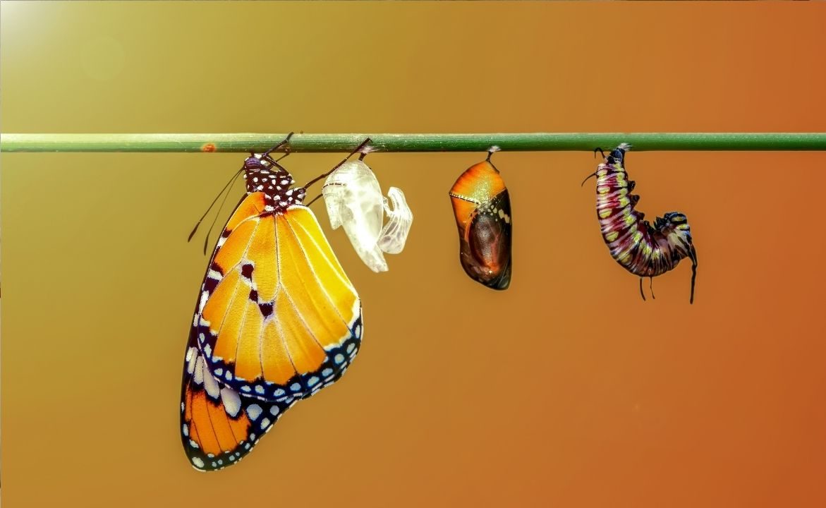 turhan-guldas-kisisel-gelisim-degisimin-gerisinde-kalmayin