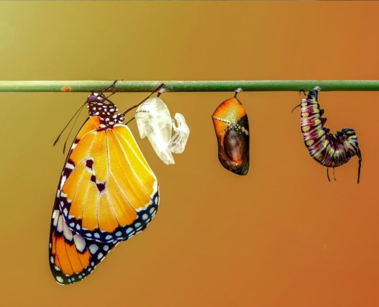 turhan-guldas-kisisel-gelisim-degisimin-gerisinde-kalmayin